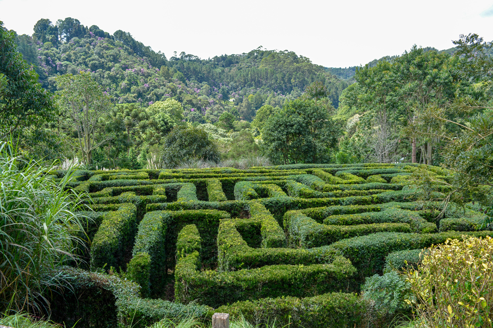 amantikir-campos-do-jordao-02