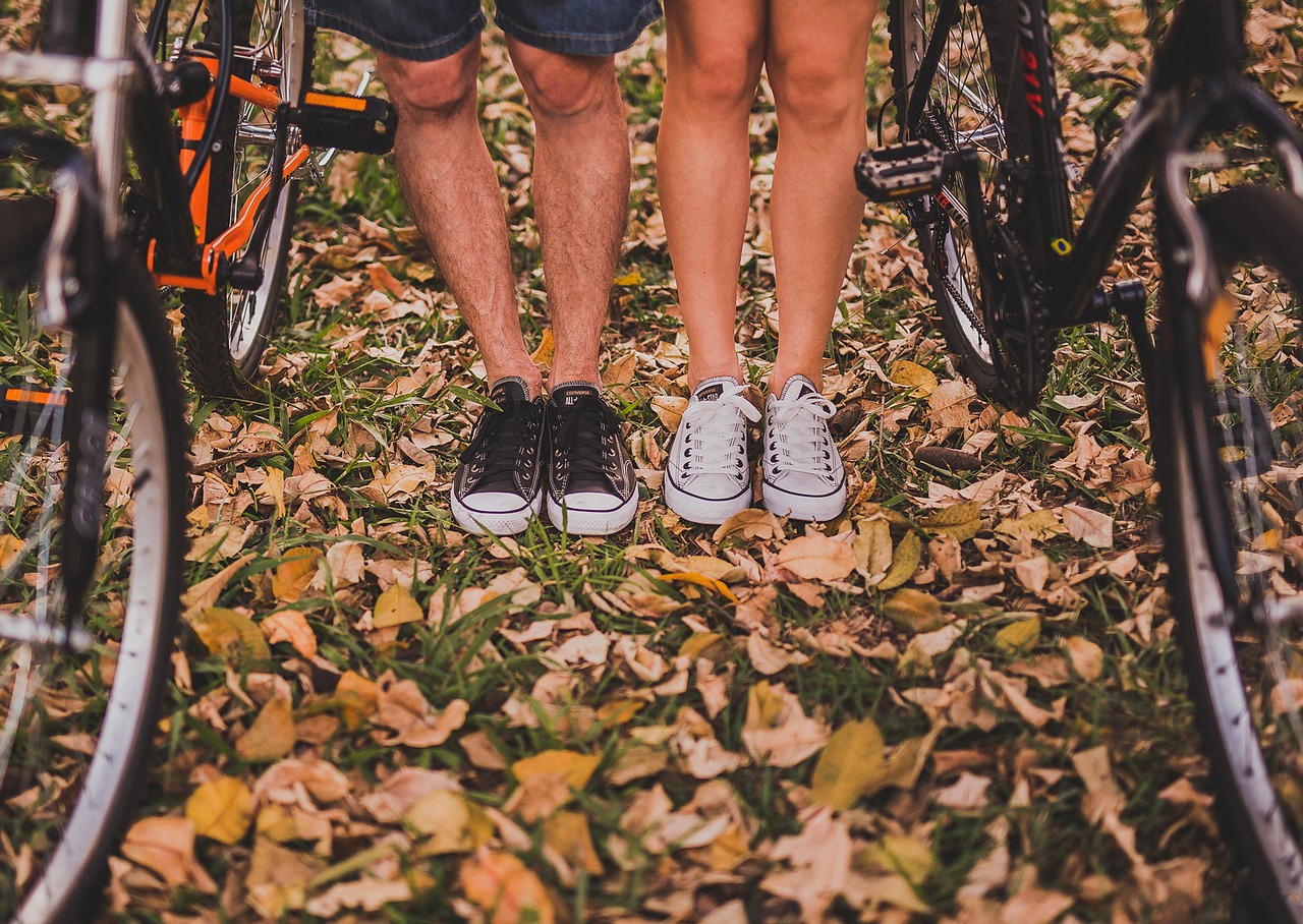 bicicleta folhas