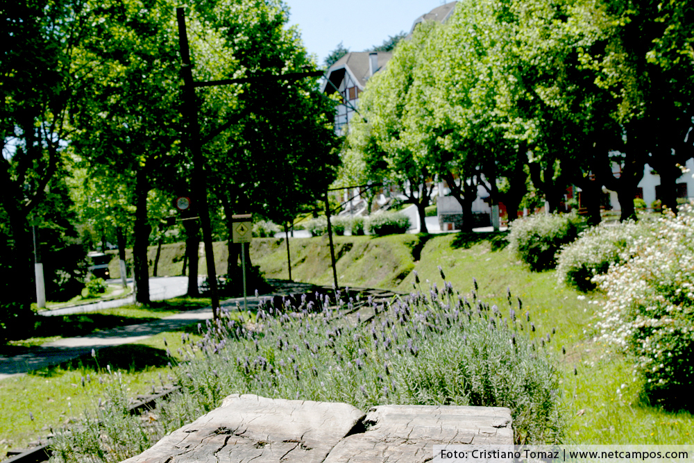 campos-do-jordao-paisagem-1