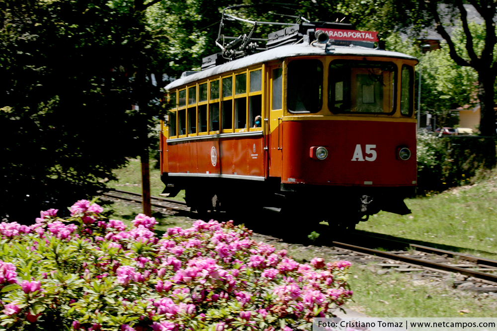 campos-do-jordao-paisagem-2