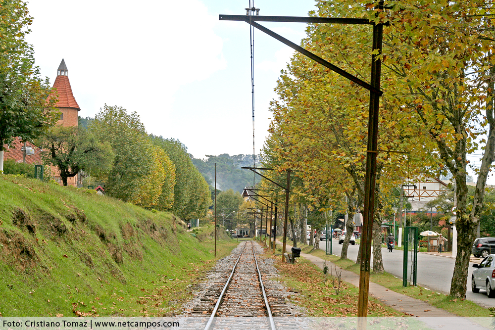 campos-no-outono