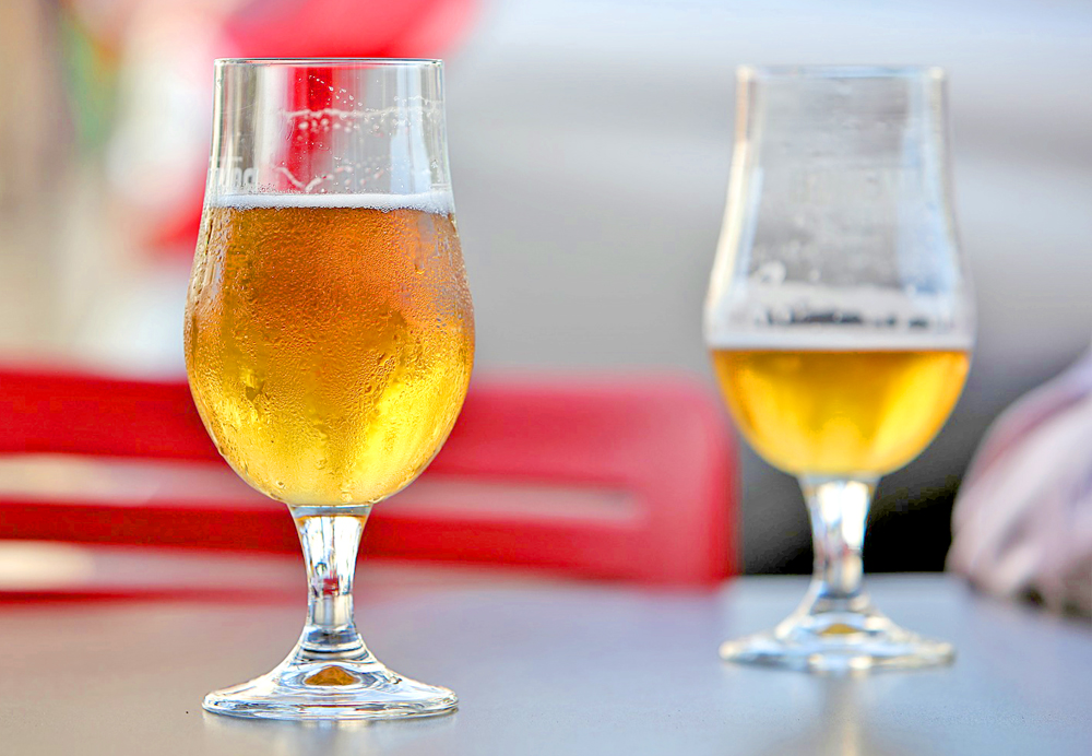 cerveja-artesanal-campos-