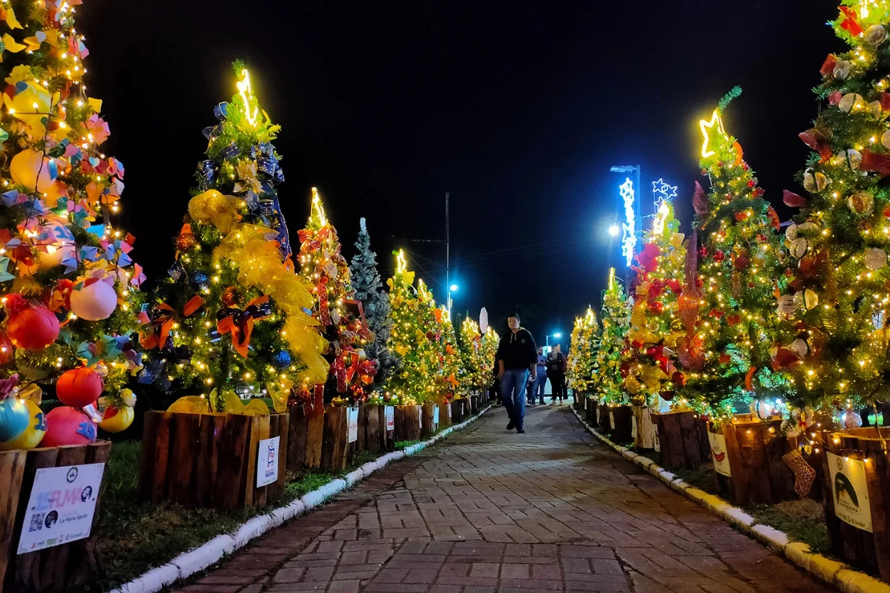 Campos do Jordão: Natal dos Sonhos Encanta Turistas que Visitam a Cidade