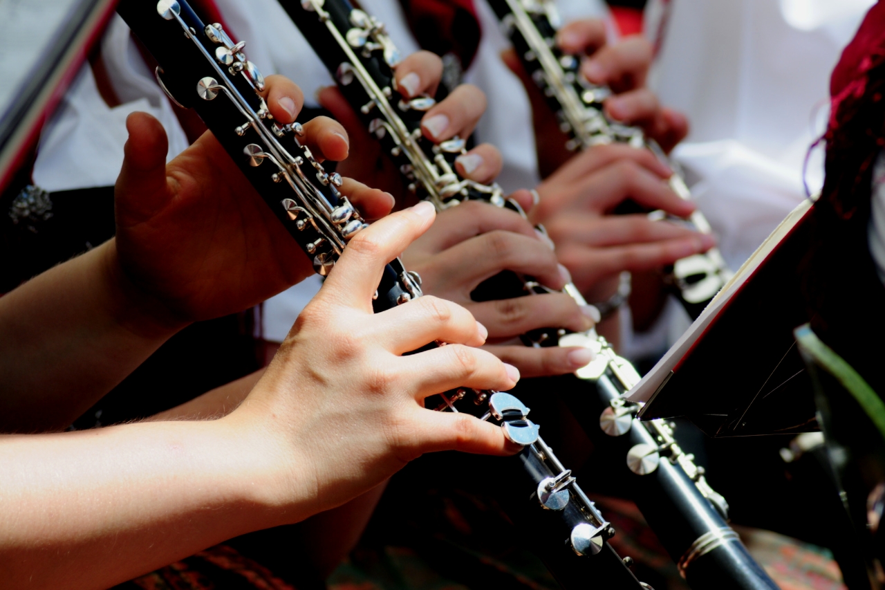 Programação 1º Festival de Verão de Campos do Jordão nos dias 28, 29 e 20 de Janeiro