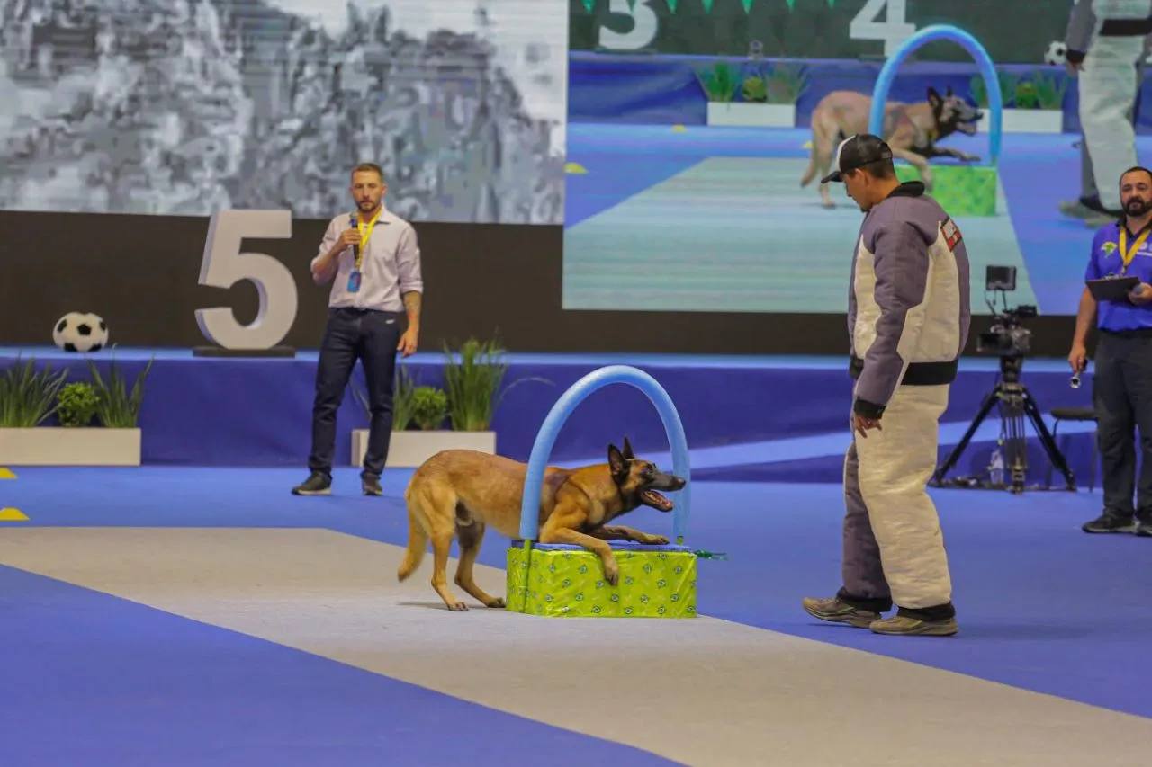 Taubaté Sedia as Olimpíadas CBKC, o Maior Evento de Esportes Caninos do Brasil
