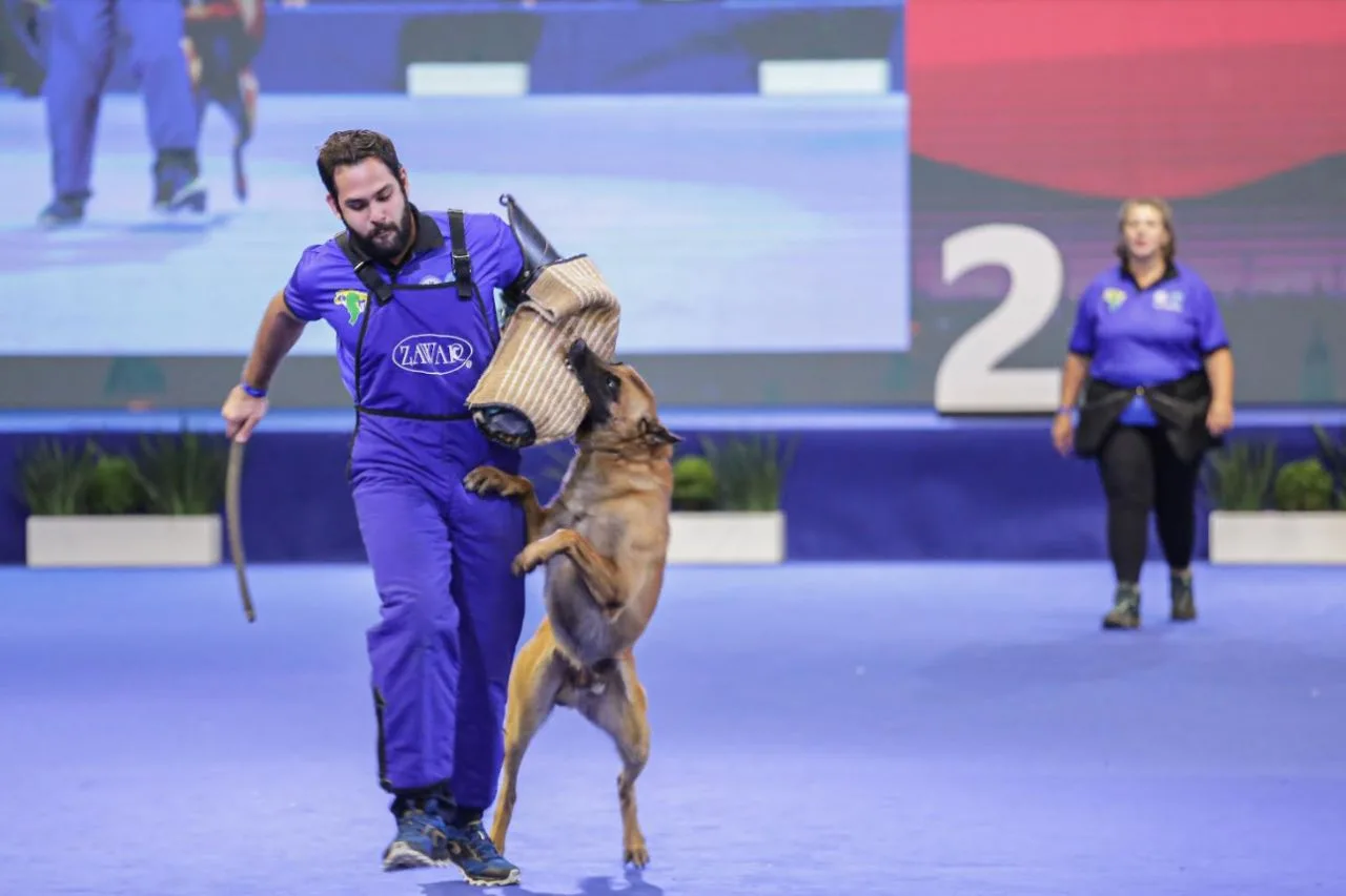 Taubaté Sedia as Olimpíadas CBKC, o Maior Evento de Esportes Caninos do Brasil