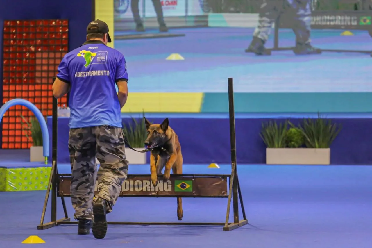 Taubaté Sedia as Olimpíadas CBKC, o Maior Evento de Esportes Caninos do Brasil