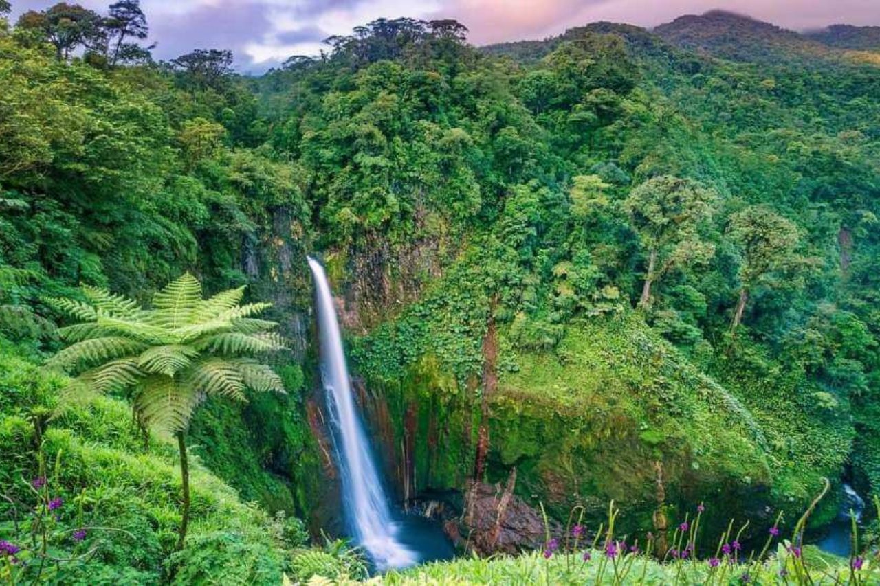 Taxa de Preservação Ambiental: o que é, exemplos no Brasil e no mundo e o debate em Campos do Jordão