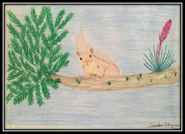 desenho-horto