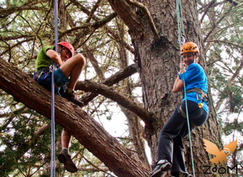 Escalada em Árvores no Horto Florestal