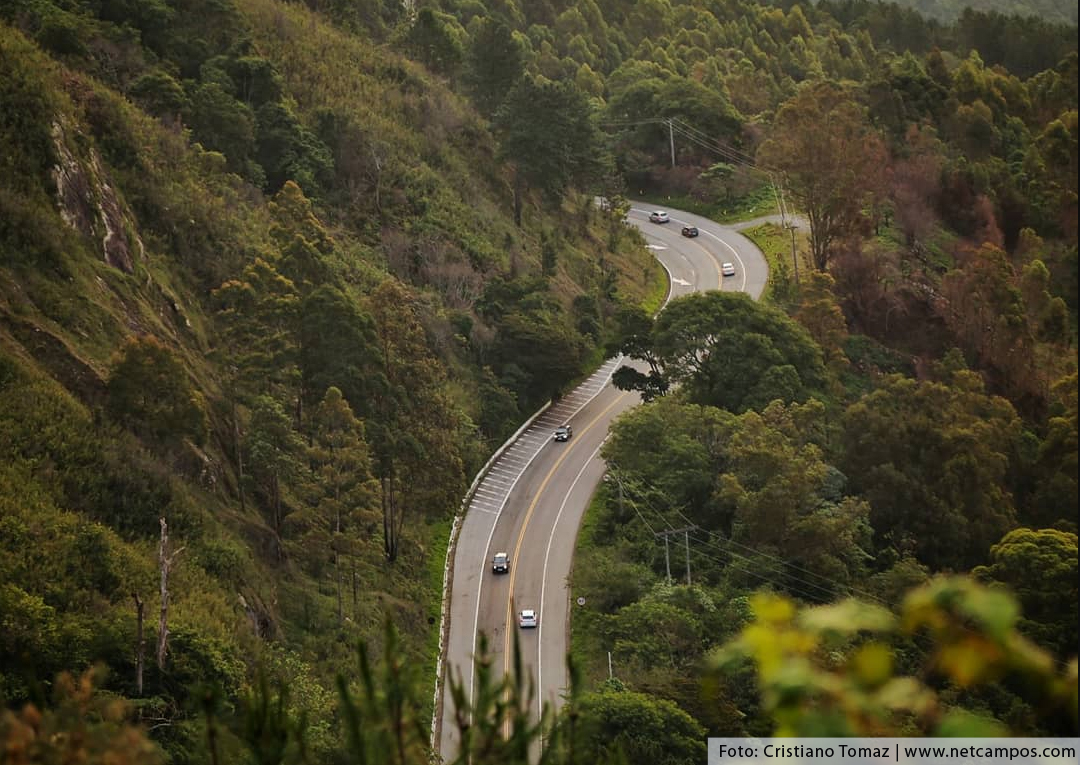 estrada-campos-do-jordao