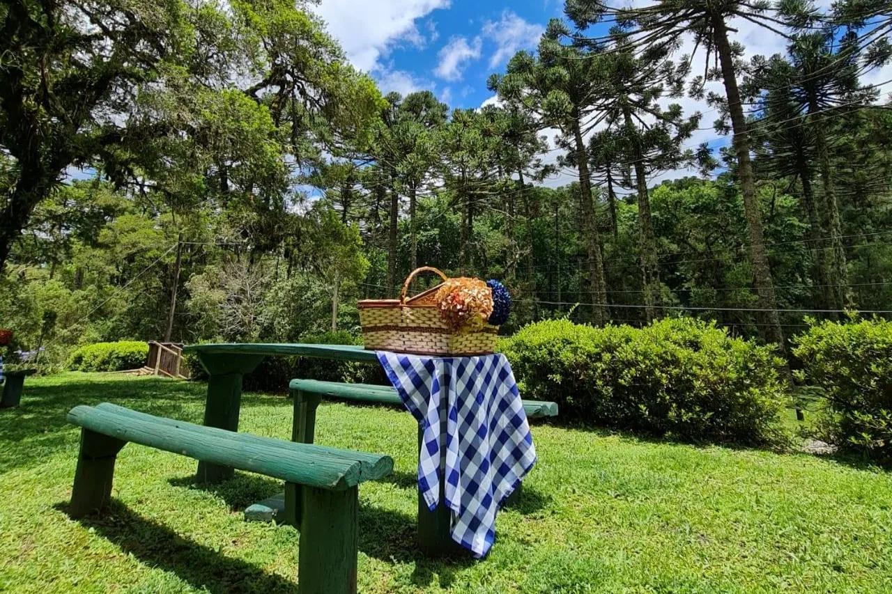 Férias de Verão em Campos do Jordão – Parque do Horto Florestal