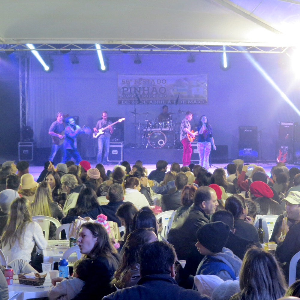 festa-do-pinhao-divulga