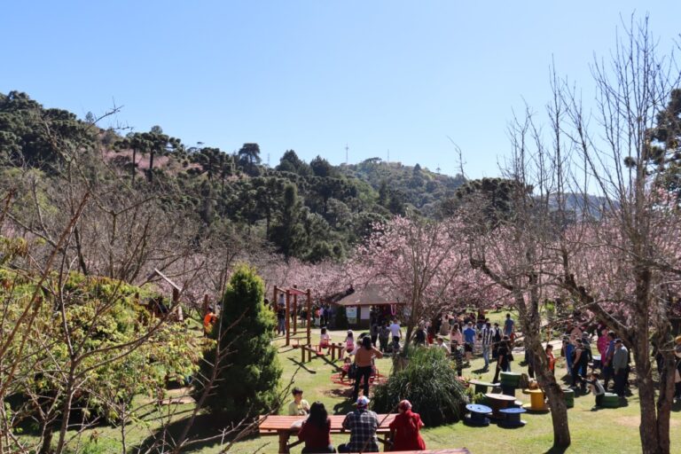 Campos do Jordão Recebe a 1ª Edição da Festeja Campos no Parque da Cerejeira neste Final de Semana