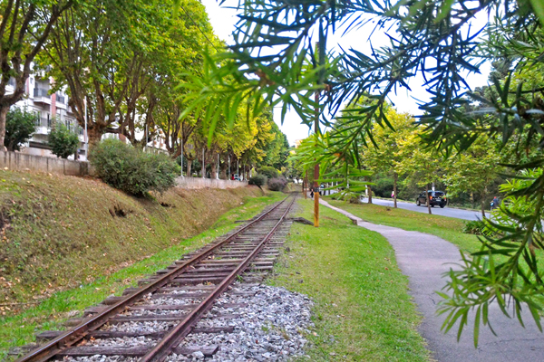 fevereiro-em-campos-do-jordao