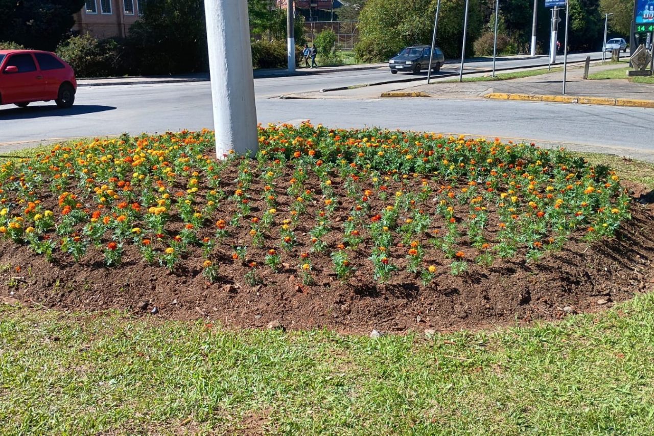 Projeto quer transformar Campos do Jordão em um jardim primaveril