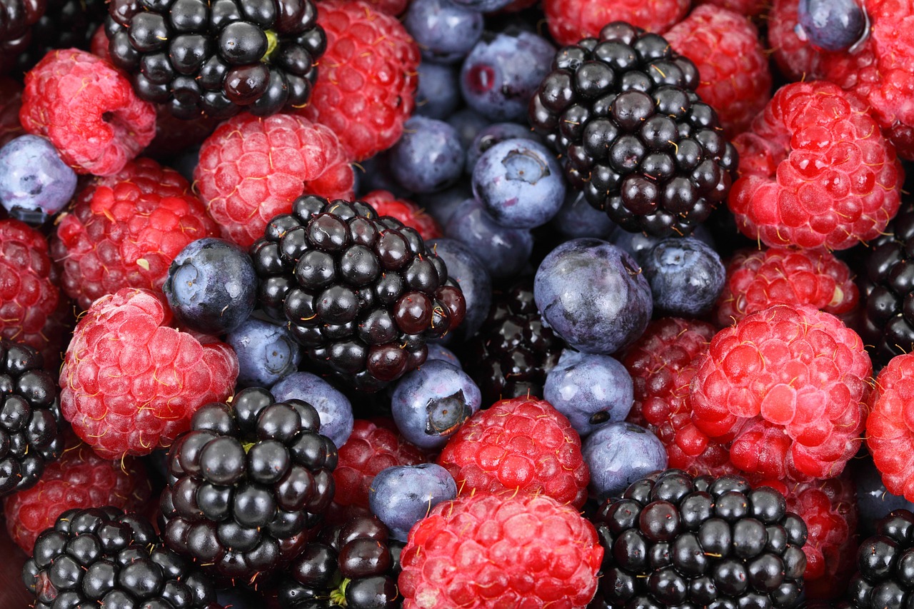 frutas-vermelhas