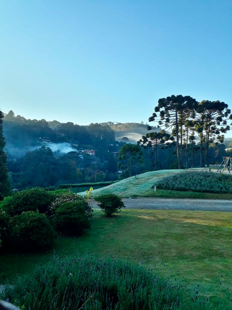 Campos do Jordão registra geada na manhã desta terça, 15 de junho de 2021