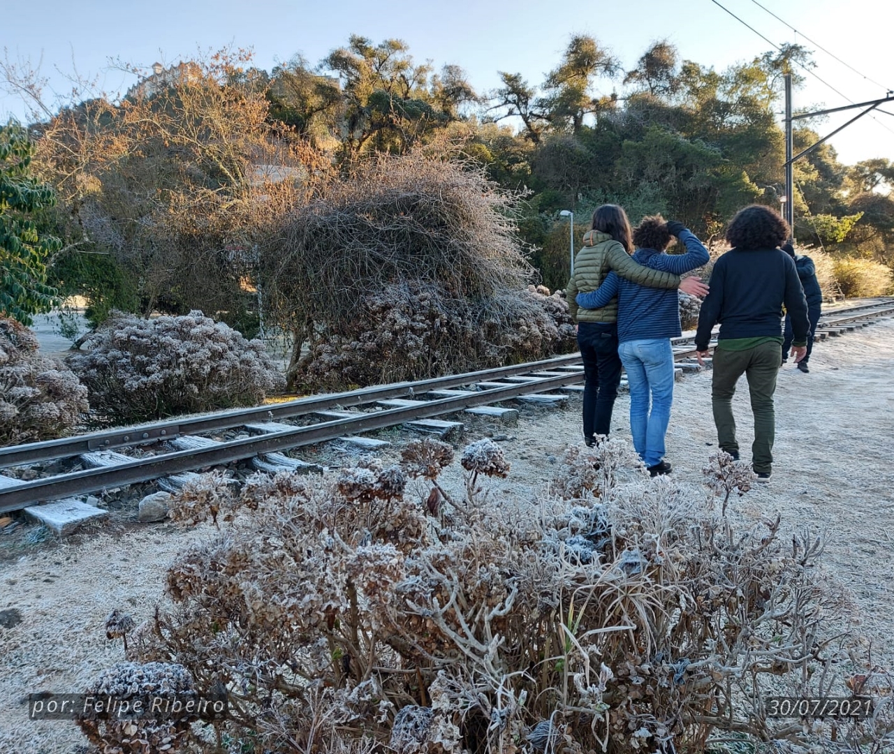 Walking Tour da Neve em Campos do Jordão Acompanhe ao Vivo