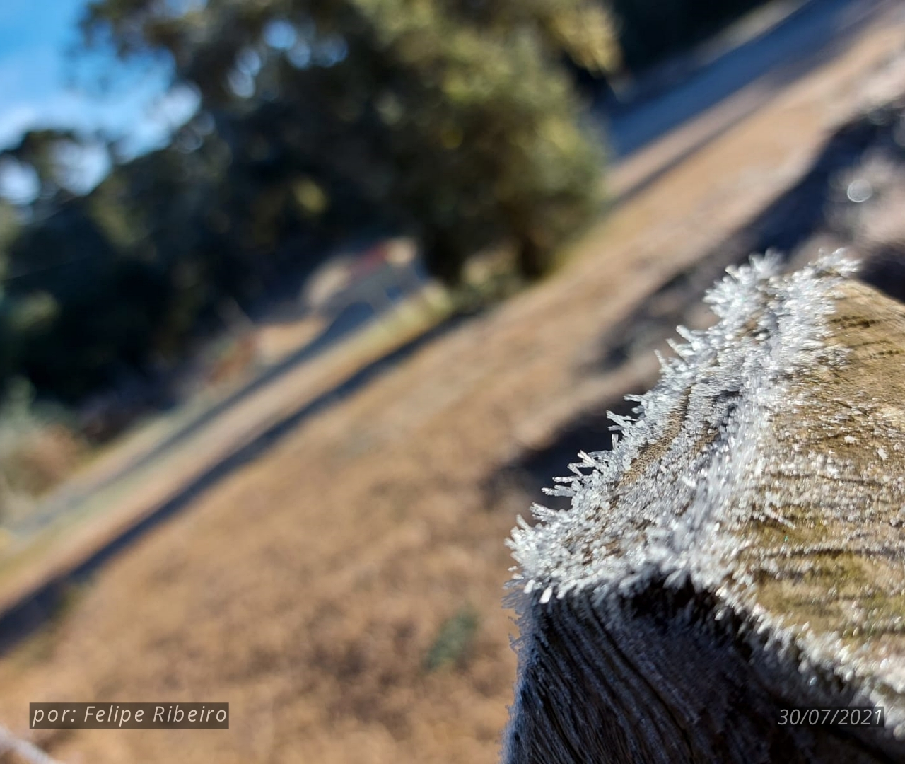 Walking Tour da Neve em Campos do Jordão Acompanhe ao Vivo