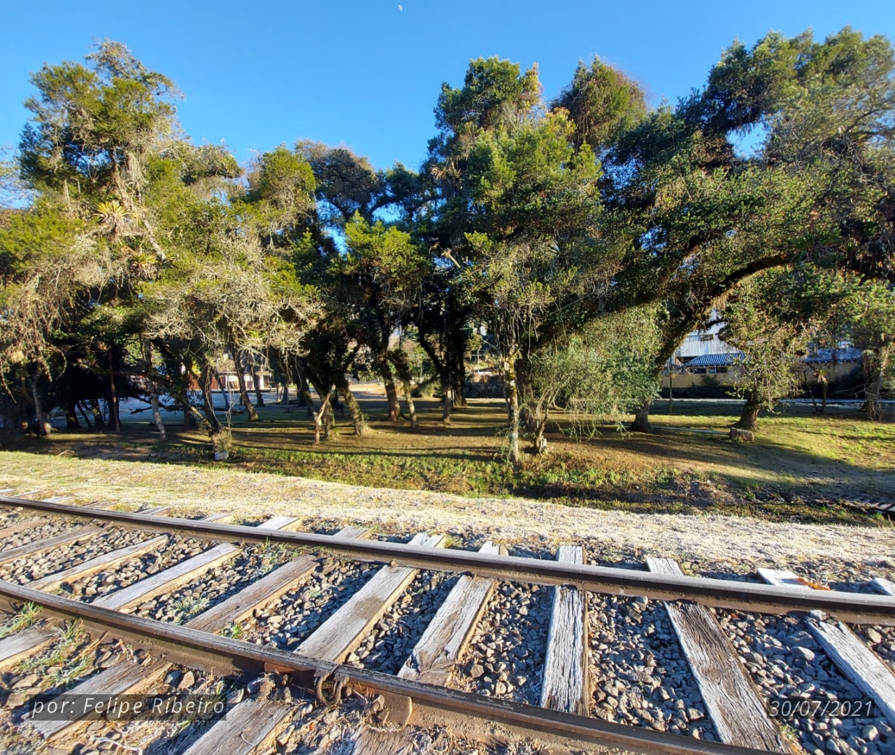 Walking Tour da Neve em Campos do Jordão Acompanhe ao Vivo