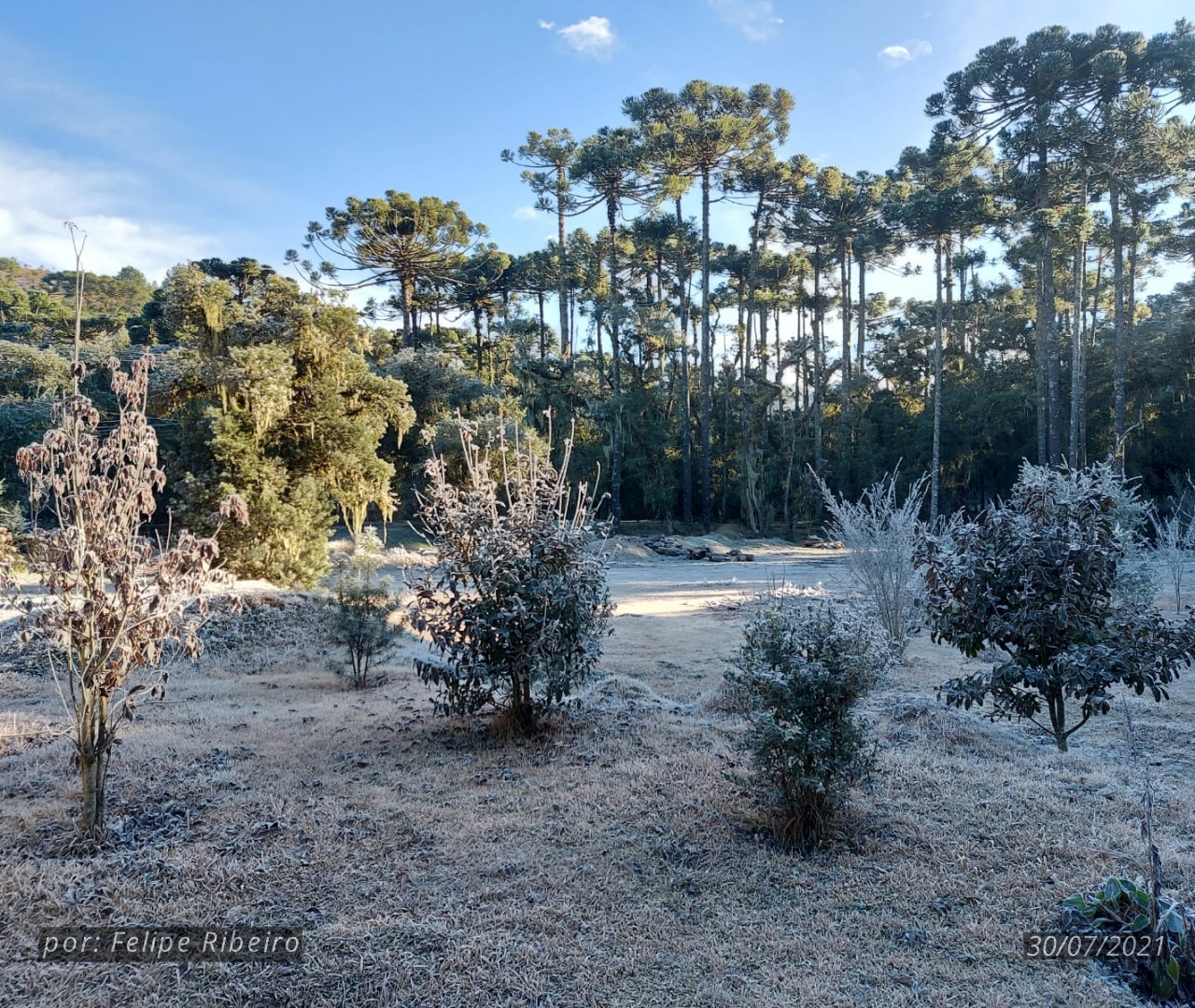 Walking Tour da Neve em Campos do Jordão Acompanhe ao Vivo
