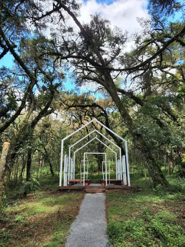 Bosque do Silêncio