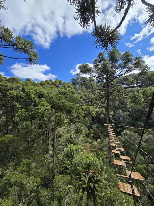 Bosque do Silêncio