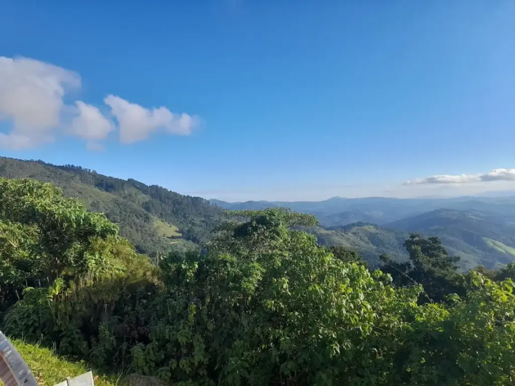 Vista Chinesa (Belvedere)