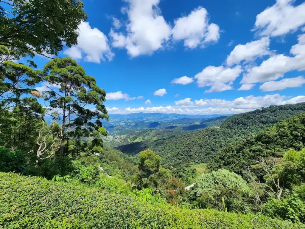 Parque Amantikir
