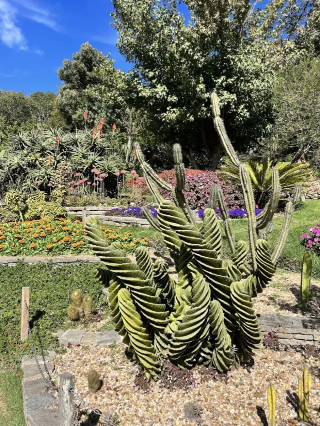 Parque Amantikir