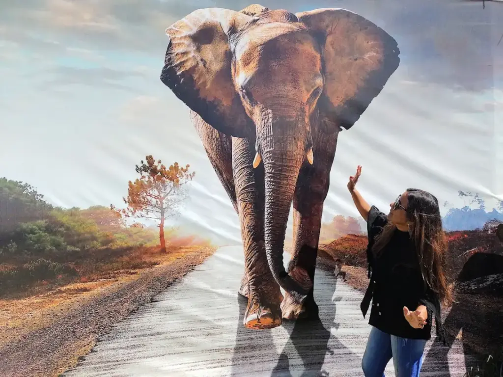 Morro do Elefante e Teleférico