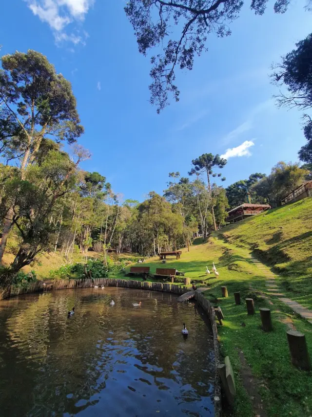 Fazendinha Toriba
