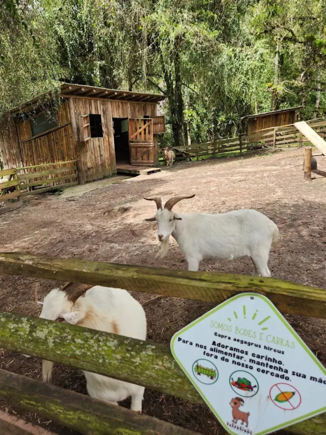 Fazendinha Toriba