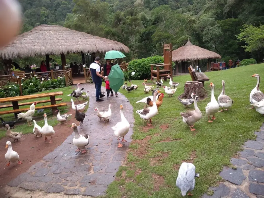 Fazendinha Toriba
