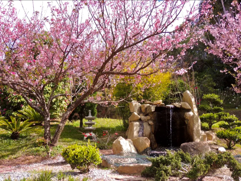 Parque das Cerejeiras