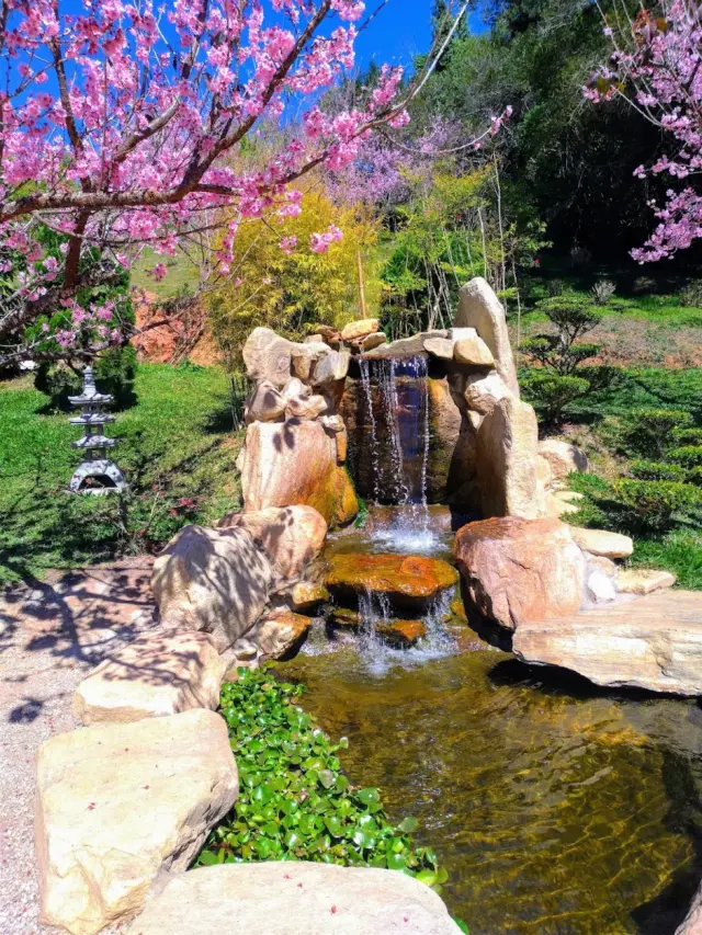 Parque das Cerejeiras