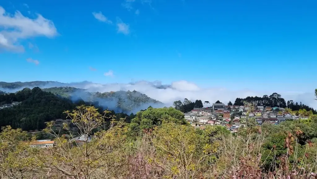 Parque das Cerejeiras