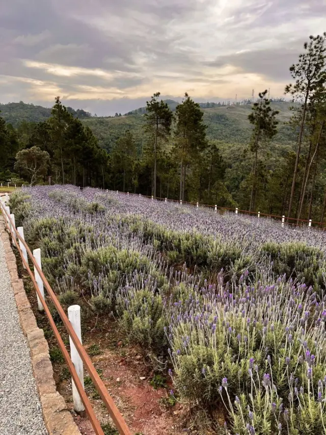 Parque Pico do Itapeva
