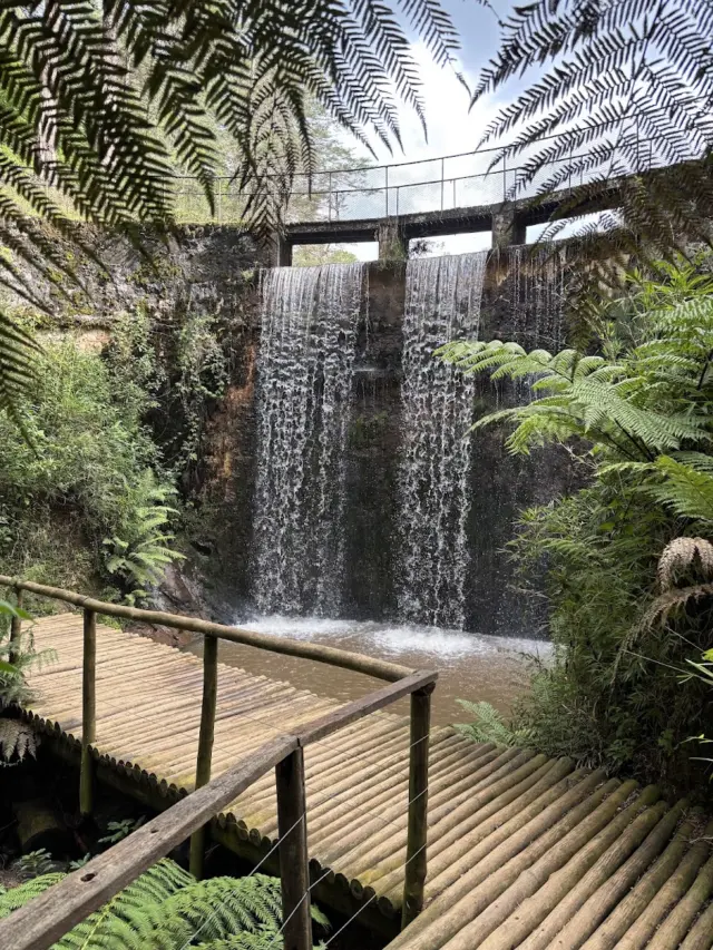 Parque Bambuí
