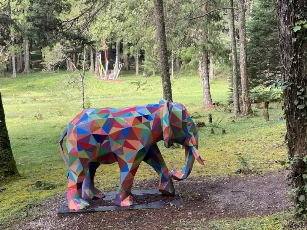 Parque Bambuí