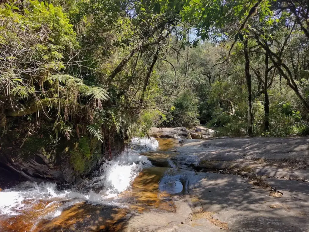 Parque Estadual de Campos do Jordão