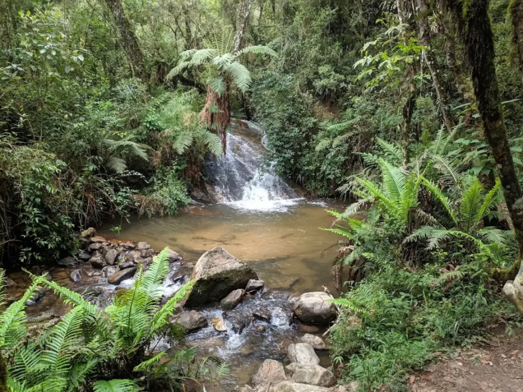 Parque Estadual de Campos do Jordão