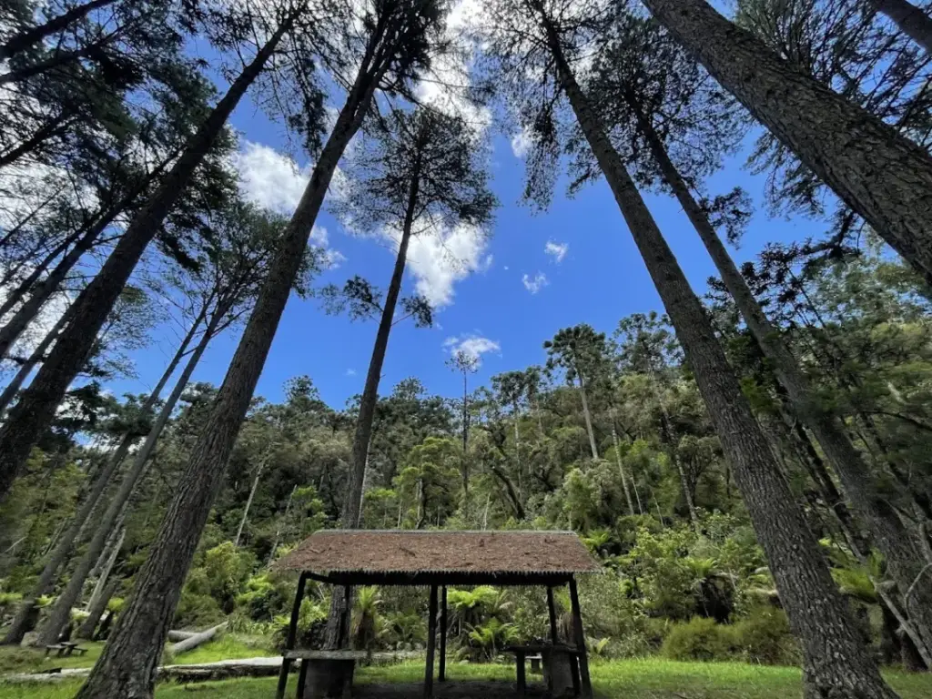 Parque Estadual de Campos do Jordão