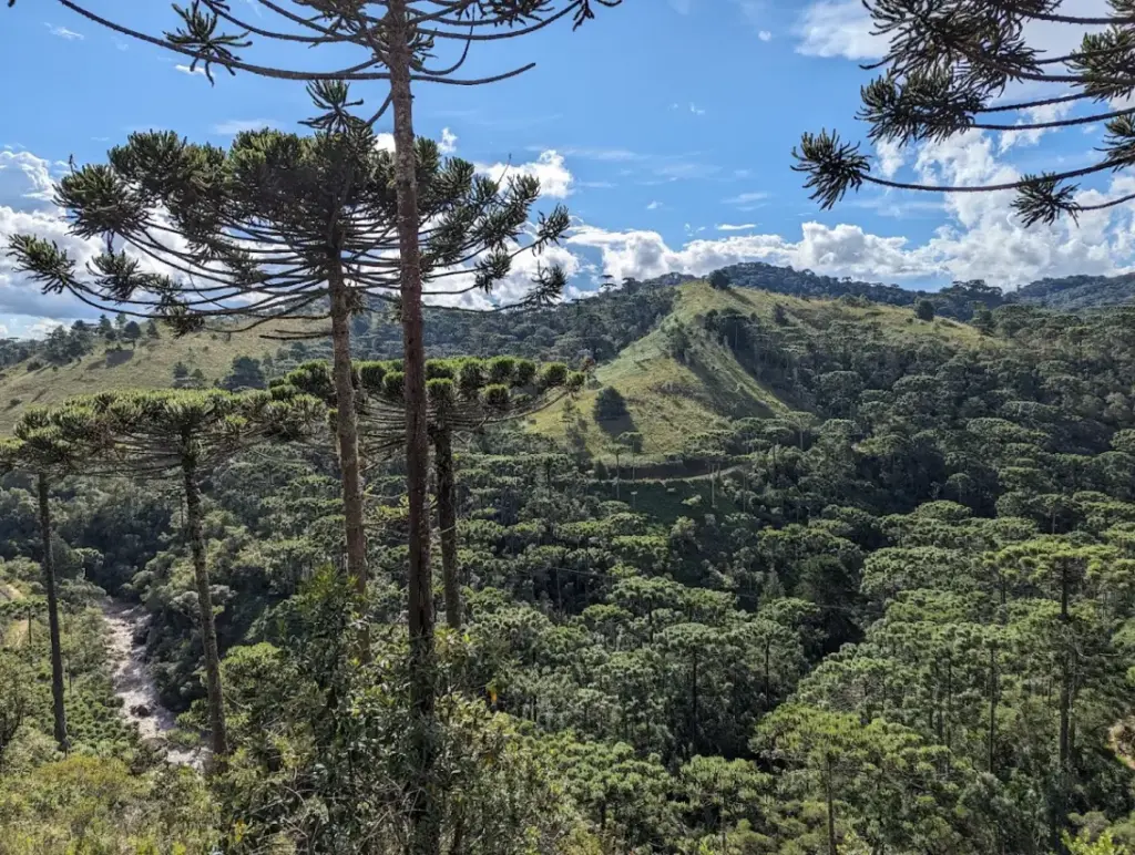 Parque Estadual de Campos do Jordão