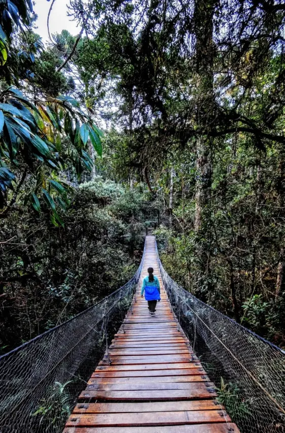 Parque Estadual de Campos do Jordão