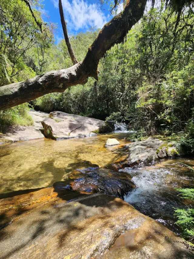 Parque Estadual de Campos do Jordão