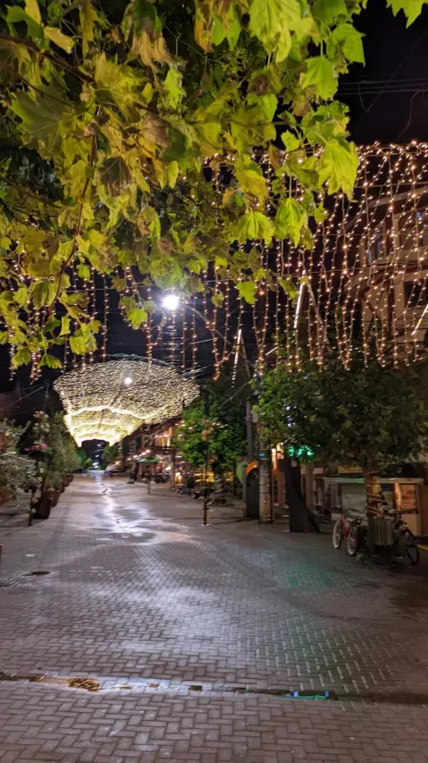 Vila Capivari