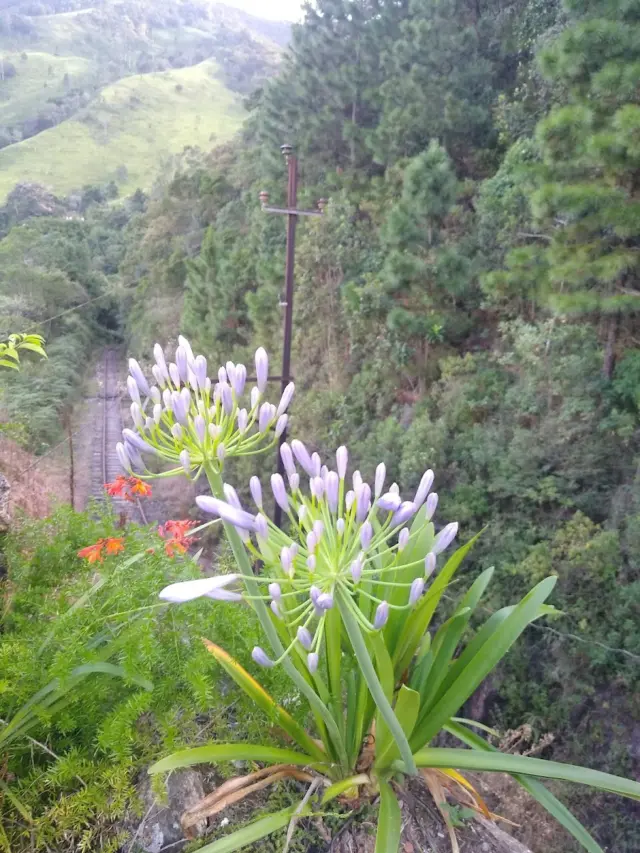 Mirante Nossa Senhora Auxiliadora