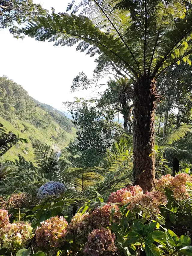 Parque da Cerveja Campos do Jordão